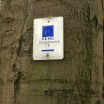 Zum Steinkistengrab und auf den höchsten Gipfel des Elms