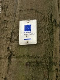 Noerdliches_Harzvorland_Reitlingstal_Elm_Eilumer_Horn_Steinkammergrab_Schild Zum Steinkistengrab und auf den höchsten Gipfel des Elms