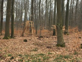 Noerdliches_Harzvorland_Reitlingstal_Elm_Jaegerstand Zum Steinkistengrab und auf den höchsten Gipfel des Elms