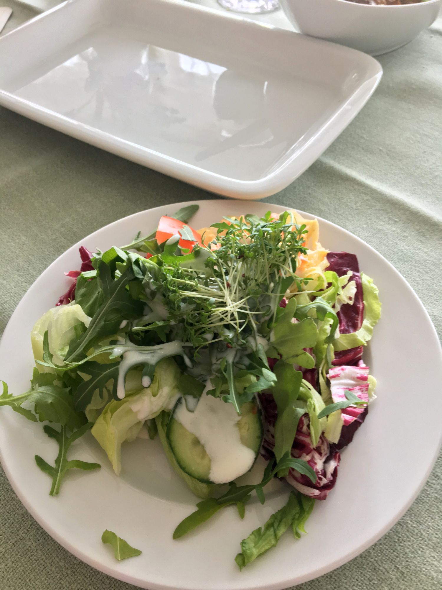 Noerdliches_Harzvorland_Reitlingstal_Elm_Mittagessen_1_Beilagensalat