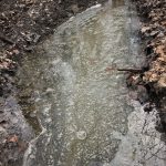 Zum Steinkistengrab und auf den höchsten Gipfel des Elms