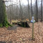 Zum Steinkistengrab und auf den höchsten Gipfel des Elms