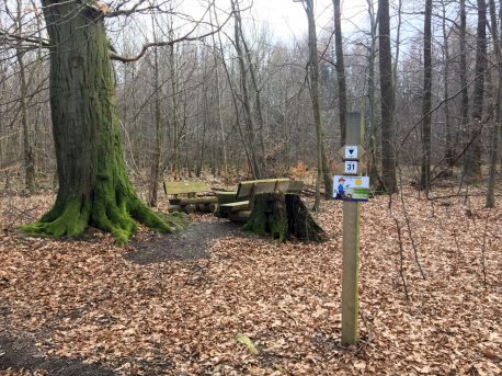 Zum Steinkistengrab und auf den höchsten Gipfel des Elms
