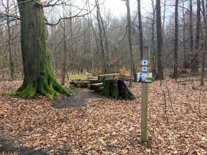 Noerdliches_Harzvorland_Reitlingstal_Elm_Rastplatz_1 Zum Steinkistengrab und auf den höchsten Gipfel des Elms