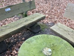 Noerdliches_Harzvorland_Reitlingstal_Elm_Rastplatz_2 Zum Steinkistengrab und auf den höchsten Gipfel des Elms