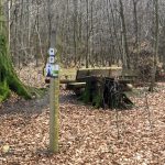 Zum Steinkistengrab und auf den höchsten Gipfel des Elms