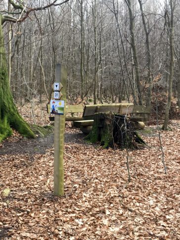 Zum Steinkistengrab und auf den höchsten Gipfel des Elms