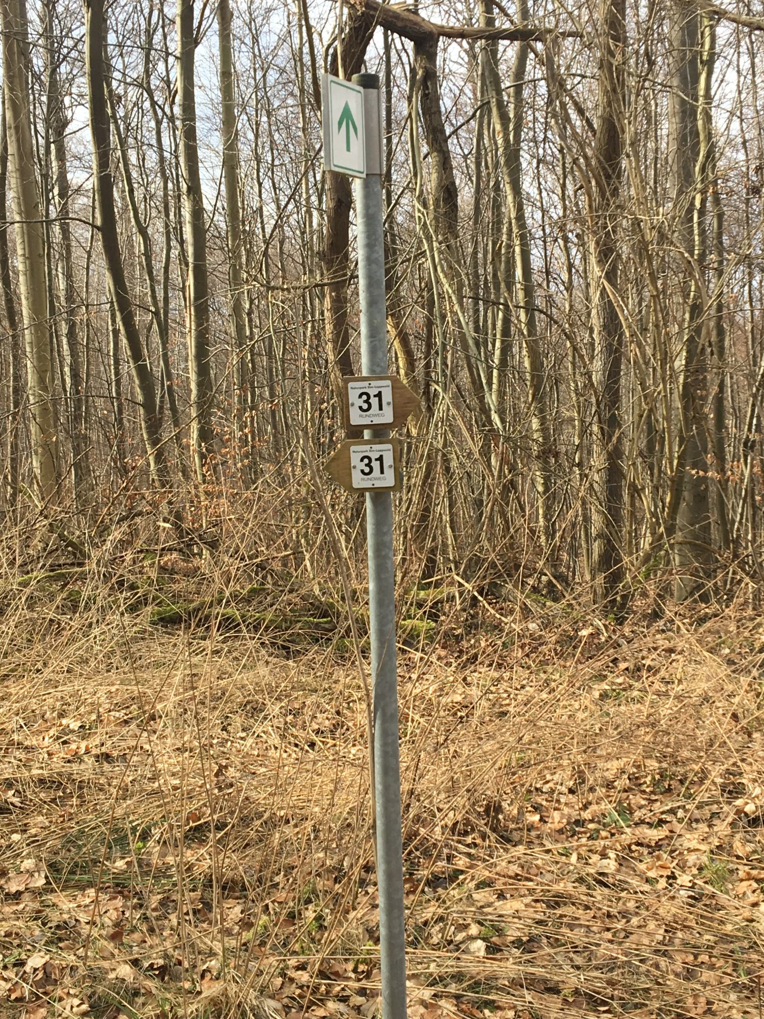 Noerdliches_Harzvorland_Reitlingstal_Elm_Schild_1