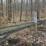 Zum Steinkistengrab und auf den höchsten Gipfel des Elms