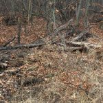 Zum Steinkistengrab und auf den höchsten Gipfel des Elms