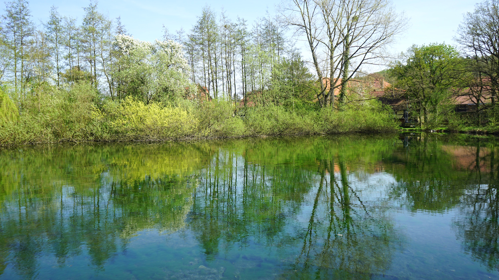 Idyll am Teich in Alt Wallmoden / Beate Ziehres