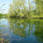 Teich am Ortseingang von Alt Wallmoden / Beate Ziehres