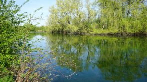 Mit dem Fahrrad durch Lutter am Barenberge