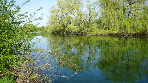 noerdliches_harzvorland_altwallmoden_teich2_4-18_beate-ziehres Mit dem Fahrrad durch Lutter am Barenberge
