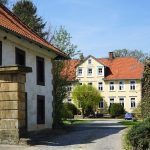 Klostergut Bodenstein – hier werden Pferde gezüchtet / Beate Ziehres