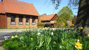 Mit dem Fahrrad durch Lutter am Barenberge