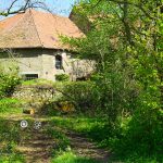 Wirtschaftsgebäude der Burg Lutter / Beate Ziehres