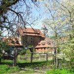 Die Burg Lutter mit Bergfried und Palas in Lutter am Barenberge / Beate Ziehres