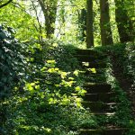 Zauberwald auf dem Gelände der Burg Lutter / Beate Ziehres