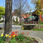 Auf dem Marktplatz von Lutter am Barenberge / Beate Ziehres