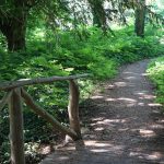 Die Brücke führt über einen Bach, der den Teich speist / Beate Ziehres
