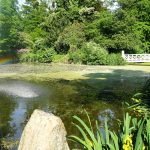 Die chinesische Brücke in der Nachmittagssonne / Beate Ziehres