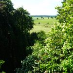 Wie gemalt: die Aussicht vom Sitzplatz auf dem Pflaumenberg / Beate Ziehres