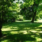 Schattenspiel am ehemaligen Reitplatz/ Beate Ziehres