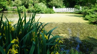 Märchenhaft: ein Ausflug in den Schlosspark Destedt