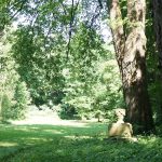 In der Urne unter dem Baum soll sich Sidonie von Veltheims Asche befinden. / Beate Ziehres