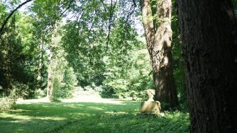 Märchenhaft: ein Ausflug in den Schlosspark Destedt