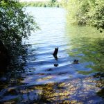 Klares Wasser in unserer Picknickbucht / Beate Ziehres