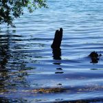 Blaues Wasser