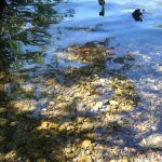 Klares Wasser