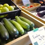 Zucchini