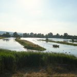 Sommer, Sonne, Picknickzeit: die schönsten Plätze am Wasser