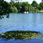 Idyllische Ansichten am Vienenburger See / Beate Ziehres