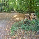 Weg zum Bismarckturm / Beate Ziehres