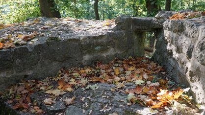 Wandern mit dem Freizeitspempel-Pass – durch die Asse zur Asseburg