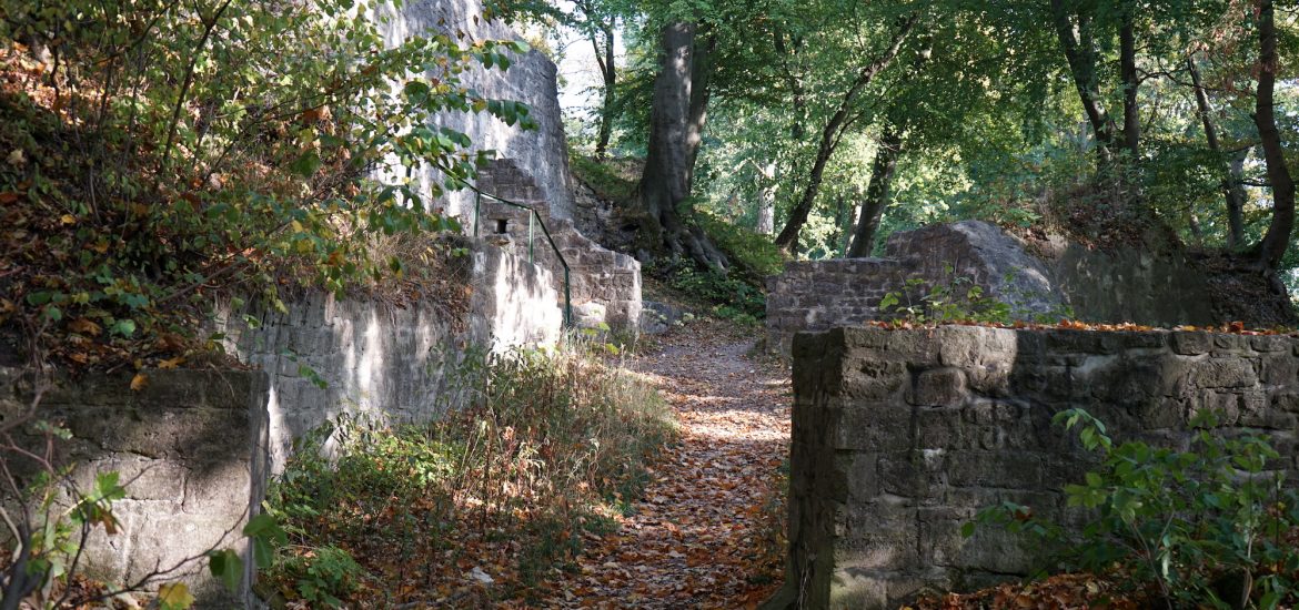 Ruine der mittelalterlichen Asseburg / Beate Ziehres