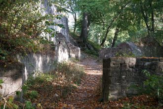 Ruine der mittelalterlichen Asseburg / Beate Ziehres