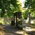 Mauerreste im östlichen Bereich der Asseburg / Beate Ziehres
