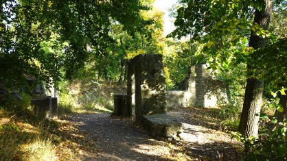 Wandern mit dem Freizeitspempel-Pass – durch die Asse zur Asseburg