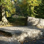 Auf der Ruine am westlichen Zugang zur Asseburg / Beate Ziehres