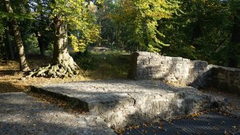 Wandern mit dem Freizeitspempel-Pass – durch die Asse zur Asseburg