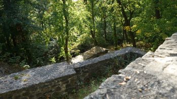 Wandern mit dem Freizeitspempel-Pass – durch die Asse zur Asseburg