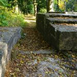 Auf der Ruine der Asseburg / Beate Ziehres