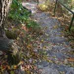 Treppe auf die Ruine der Asseburg / Beate Ziehres