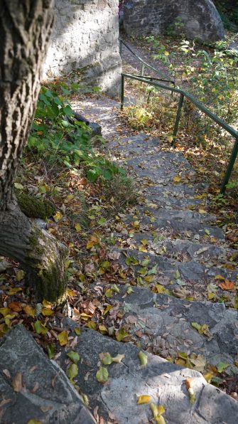 noerdliches-harzvorland-wandern-asse-asseburg9-10-18-beate-ziehres Wandern mit dem Freizeitspempel-Pass – durch die Asse zur Asseburg