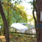 Markierung Rundwanderweg 3 oberhalb des Zeltplatzes am Freizeitheim / Beate Ziehres